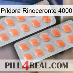 Píldora Rinoceronte 4000 27